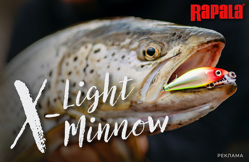 X-Light Minnow